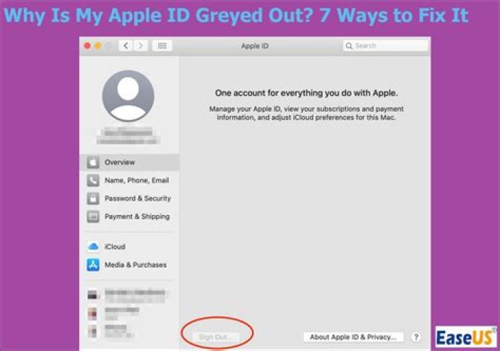 How to Fix Apple News Feed Unavailable? - SarkariResult