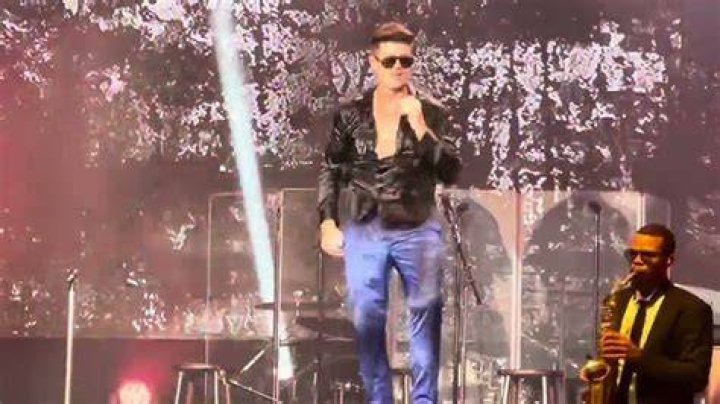 Robin Thicke's girlfriend