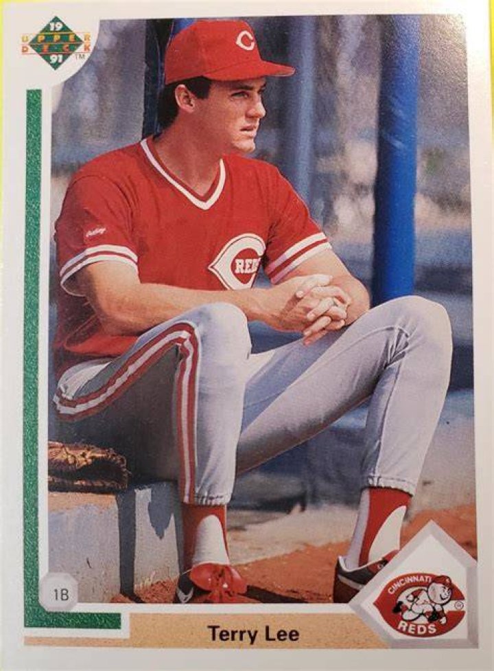 Terry Lee (baseball)
