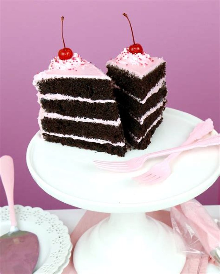 Two slices of chocolate cake on a white plate.